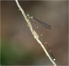 246513 – Photo : Benoit Guillon – Vietnam