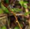 246730 – Photo : Benoit Guillon – Vietnam