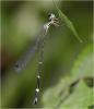 246574 – Photo : Benoit Guillon – Vietnam