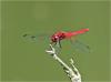 246810 – Photo : Benoit Guillon – Vietnam