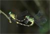 247021 – Photo : Benoit Guillon – Vietnam