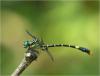247020 – Photo : Benoit Guillon – Vietnam