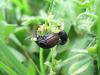 248177 – Photo : GaDi – France (12)