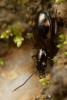 248374 – Photo : Jessica Joachim – France (81)