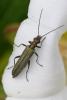 248446 – Photo : Didier Houbrechts – Belgique