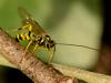 248925 – Photo : Didier Maucouard – France (17)