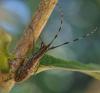 248254 – Photo : Claude Chavand – Philippines