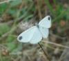 248244 – Photo : Patrick Bouvier – France (34)