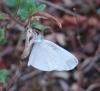 248243 – Photo : Patrick Bouvier – France (34)