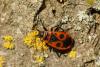 248619 – Photo : florent besson – France (18)