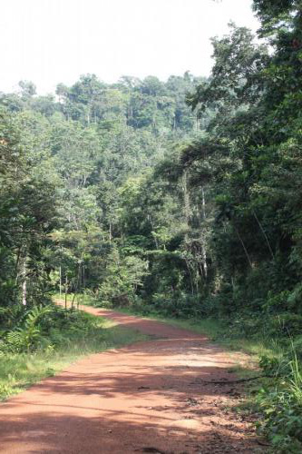 Indéterminé
