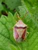 249928 – Photo : Edith Konik – France (32)