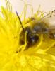 249457 – Photo : Bernard Ginesy – France (13)