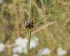 249524 – Photo : Maria Justamond – France (28)