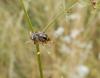 249525 – Photo : Maria Justamond – France (28)