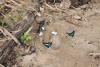 249360 – Photo : BAUER – Gabon