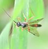 249948 – Photo : Jean-Michel GAREL – France (89)