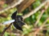 249636 – Photo : Lionel Casset – Bénin