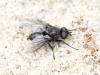 249845 – Photo : Renko Usami – France (59)