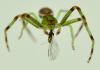 249690 – Photo : Jean-Michel GAREL – France (89)