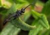 249945 – Photo : Roland Seitre – France (66)