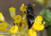 249918 – Photo : Roland Seitre – France (20)