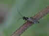 249872 – Photo : éric Pensa – France (13)