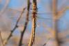 249430 – Photo : Quentin Dubost – Oman