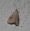 25500 – Photo : QA – France (25)