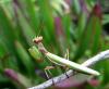 25807 – Photo : Vincent Lefebvre – France (20)