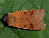 25681 – Photo : Pelouard – France (72)
