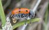 250765 – Photo : Julien Piolain – France (34)