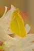 250480 – Photo : Josselyne Bayle – France (33)