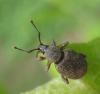 250617 – Photo : Axel Dehalleux – France (93)