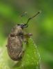 250616 – Photo : Axel Dehalleux – France (93)