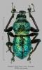 250221 – Photo : Stephane VASSEL – Philippines