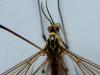 250314 – Photo : André Blasco – France (13)
