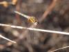 250225 – Photo : Lionel Casset – Bénin