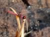 250223 – Photo : Lionel Casset – Bénin