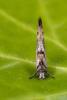 250926 – Photo : Fabre Pierre Henri – France (34)