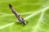 250925 – Photo : Fabre Pierre Henri – France (34)