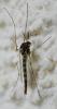 250733 – Photo : Franck Buron – France (01)