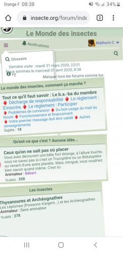 Avril premier