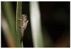 251101 – Photo : Sylvia Chevalier – France (29)