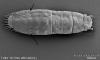 251064 – Photo : Wieczorek et al. – Royaume-Uni