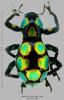 251549 – Photo : Stephane VASSEL – Philippines