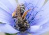 251331 – Photo : Roland Seitre – France (20)