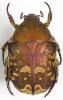 252998 – Photo : Dominique Poirier-Ducrocq – Philippines