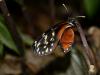 252043 – Photo : Léandre COMBE – Costa Rica