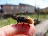 252457 – Photo : Mathieu Junger – France (54)